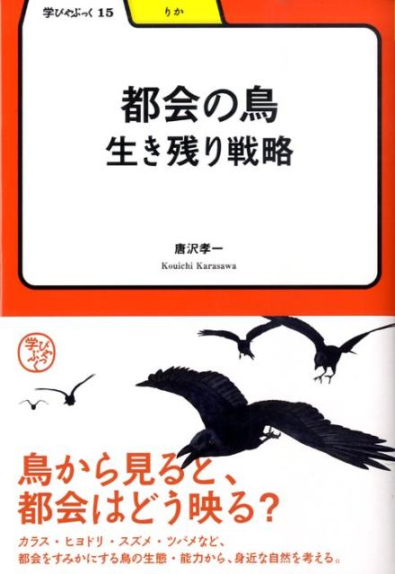 都会の鳥ー生き残り戦略