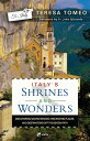 Italy's Shrines and Wonders: Discovering Sacred Spaces, Fascinating Places, and ...