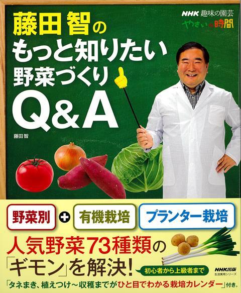 【バーゲン本】藤田智のもっと知りたい野菜づくりQ＆A