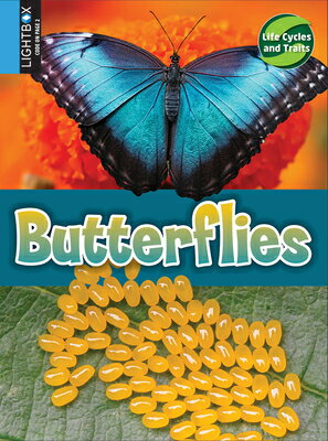 Butterflies BUTTERFLIES （Life Cycles and Traits） 