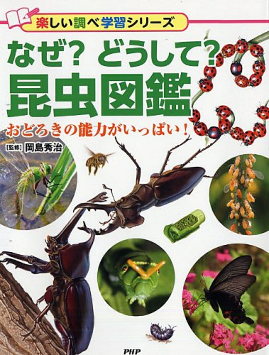 昆虫を楽しく覚えられる！子どもが自分で読めるおすすめの昆虫図鑑を教えてください。