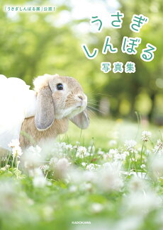 「うさぎしんぼる展」公認! うさぎしんぼる写真集の表紙