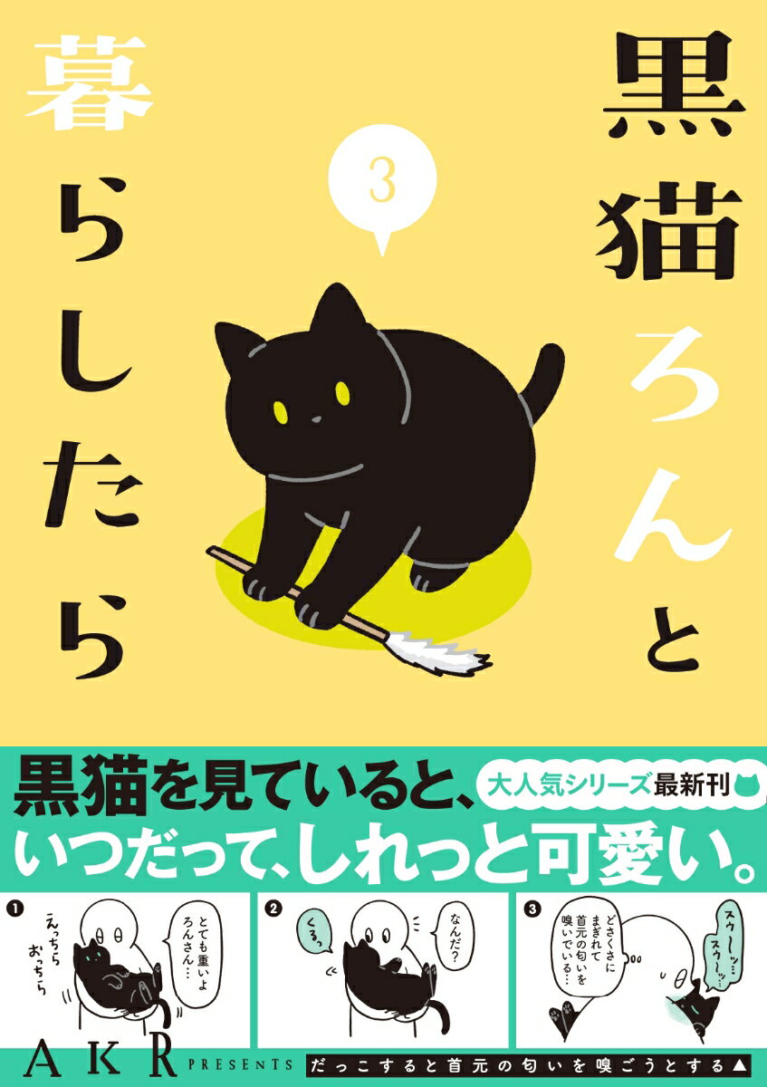 黒猫ろんと暮らしたら3