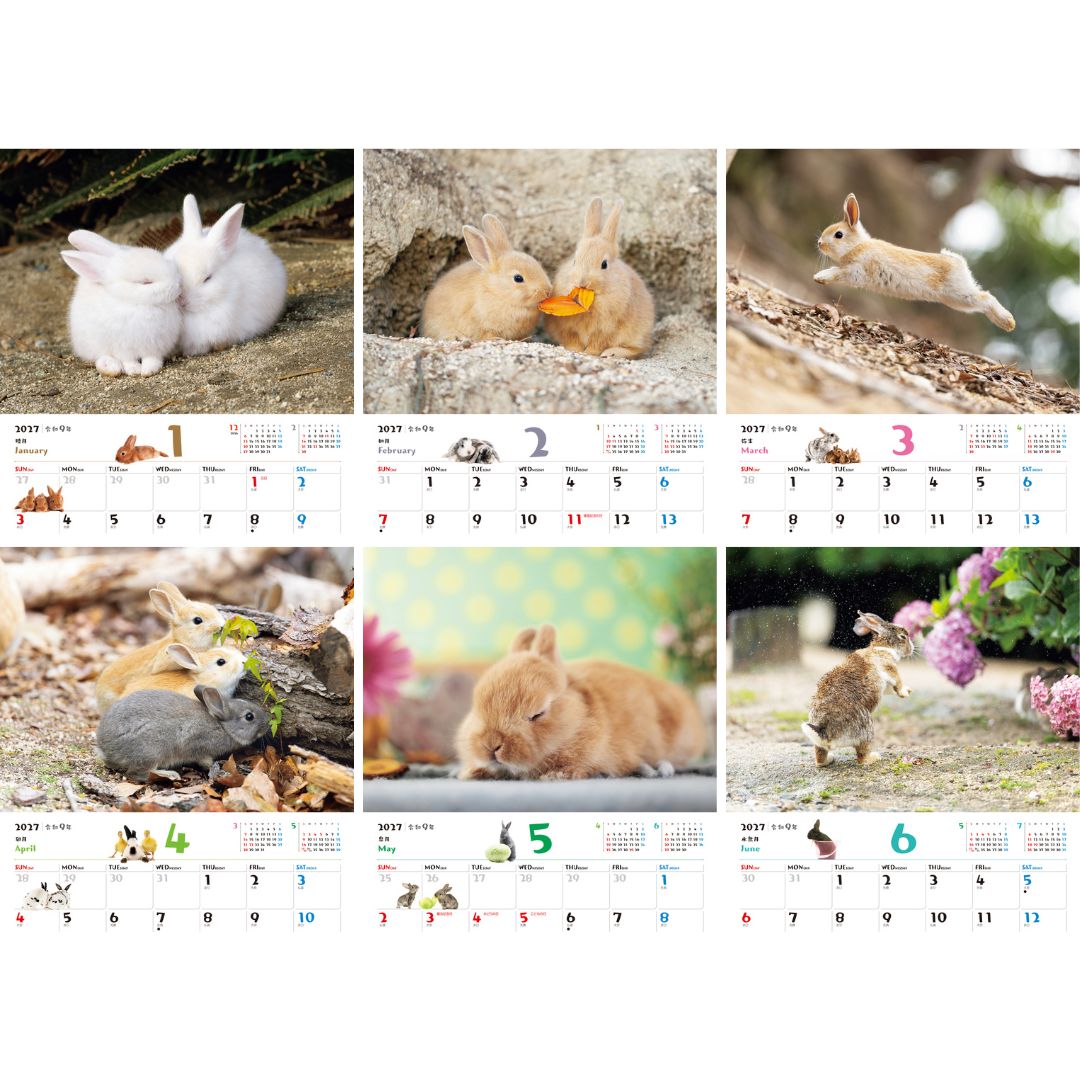 JTBのカレンダー ふわふわうさぎ 2027（壁掛け/月めくり/動物) （カレンダー2027） [ JTBパブリッシング ] (2)