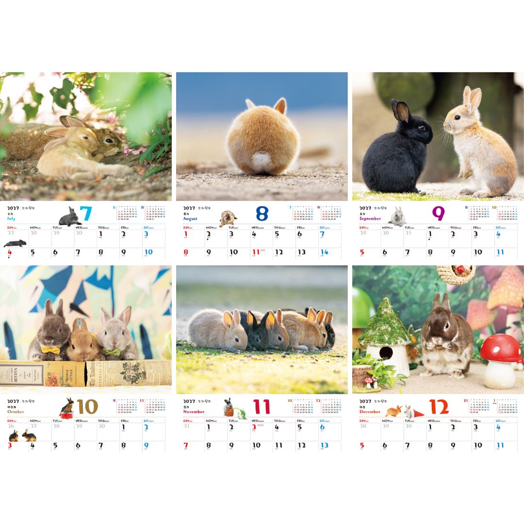 JTBのカレンダー ふわふわうさぎ 2027（壁掛け/月めくり/動物) （カレンダー2027） [ JTBパブリッシング ] (3)