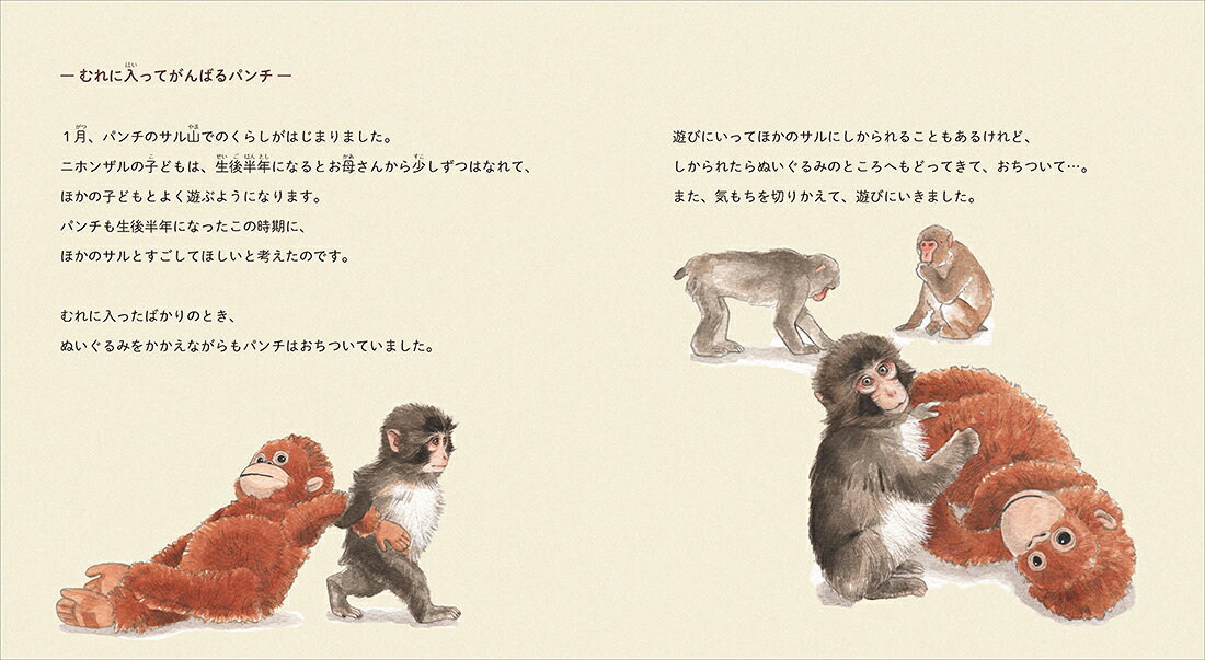 がんばれ　パンチ 子ザルの成長物語 [ 市川市動植物園 ]