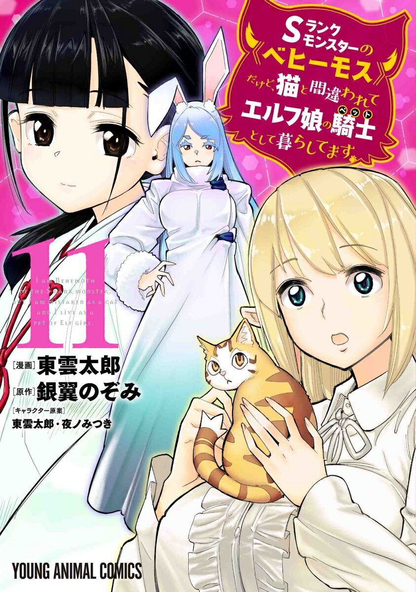 Sランクモンスターの《ベヒーモス》だけど、猫と間違われてエルフ娘の騎士として暮らしてます