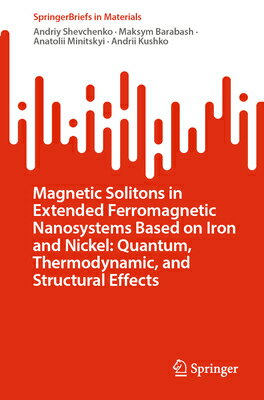 Magnetic Solitons in Extended Ferromagnetic Nanosy