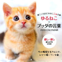 こころおだやかにニャるブッダの言葉カレンダー