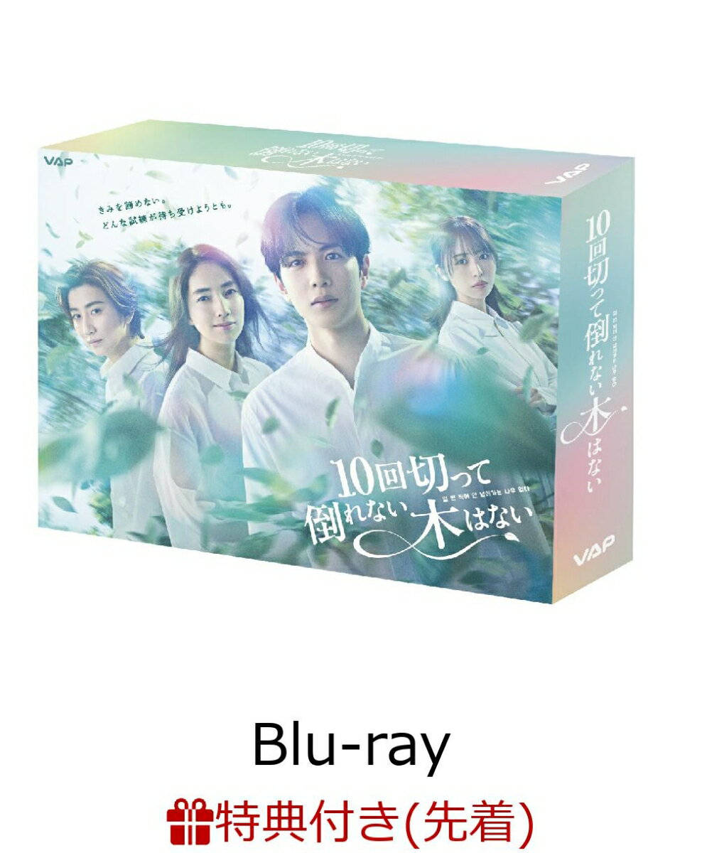 【先着特典】10回切って倒れない木はない Blu-ray BOX【Blu-ray】(オリジナルクリアファイル(B6サイズ))