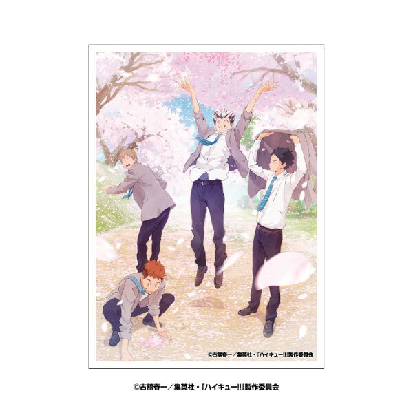 アニメ「ハイキュー !! 」 EN-1633　桜吹雪　キャラクタースリーブ