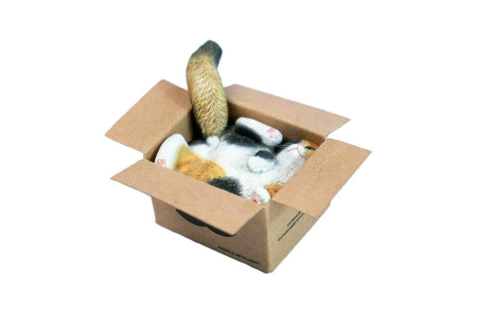 JXKスタジオ ダンボールボックス・キャット C 【JS2504C】 (フィギュア)