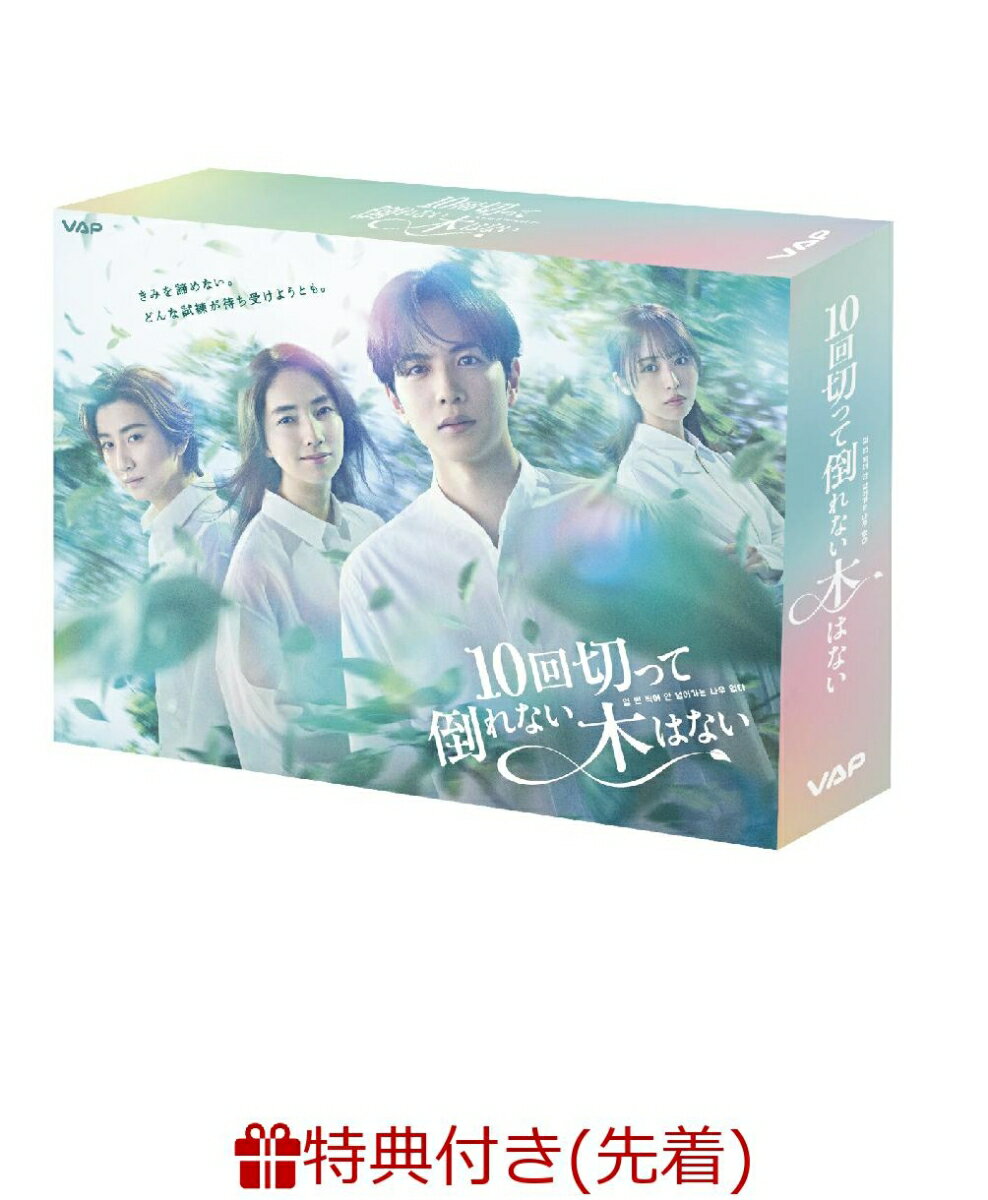 【先着特典】10回切って倒れない木はない DVD BOX(オリジナルクリアファイル(B6サイズ))