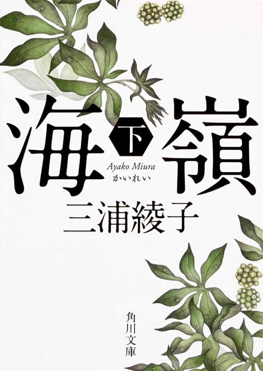 岩松改め岩吉、久吉、音吉の3人は、幾多の困難を乗り越え、5年ぶりに日本を目の前にしている。しかし彼らに対する祖国の仕打ちは容赦ないものだった……感動巨編、涙の完結編。