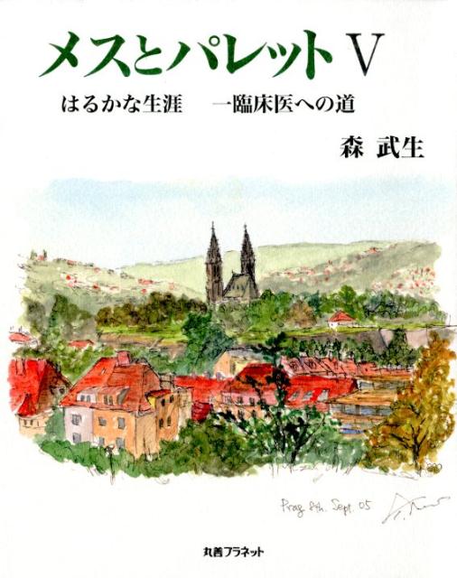 メスとパレット（5）