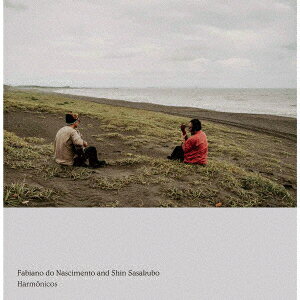 Harmonicos【アナログ盤】