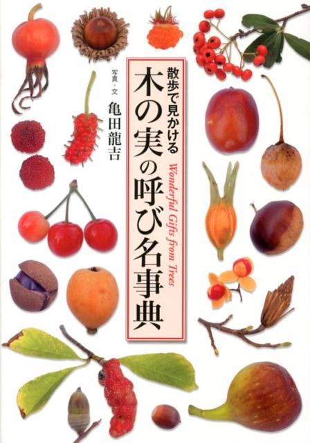 【謝恩価格本】木の実の呼び名事典