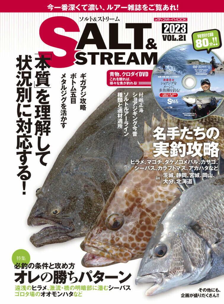 SALT&STREAM VOL.21