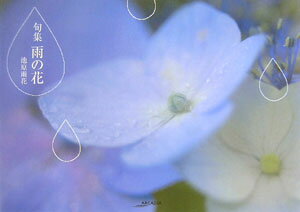 雨の花