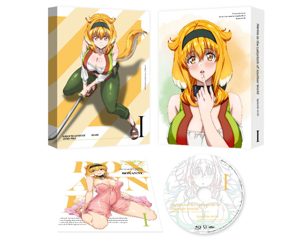 異世界迷宮でハーレムを DVD BOX 上巻《通常版》