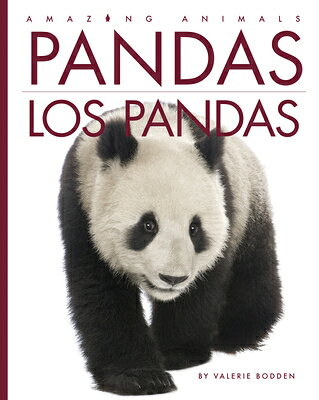 Pandas / Los Pandas SPA-PANDAS / LOS PANDAS （Amazing Animals） [ Valerie Bodden ]