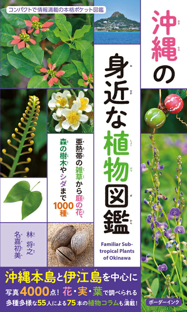 エッセンシャル植物生理学　農学系のための基礎 （KS農学専門書） [ 牧野 周 ]