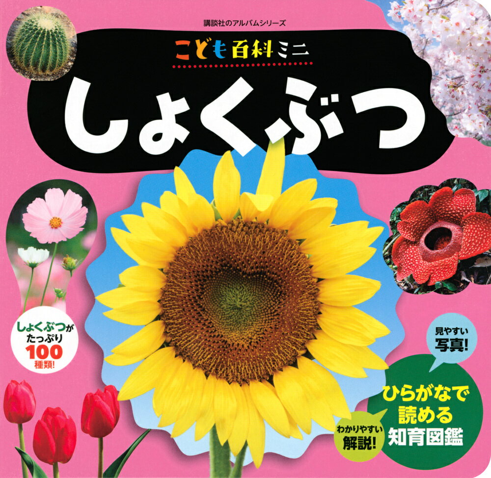 ���ɤ�ɴ�ʥߥˡ����礯�֤�