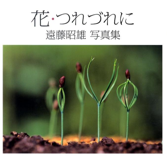 花・つれづれに