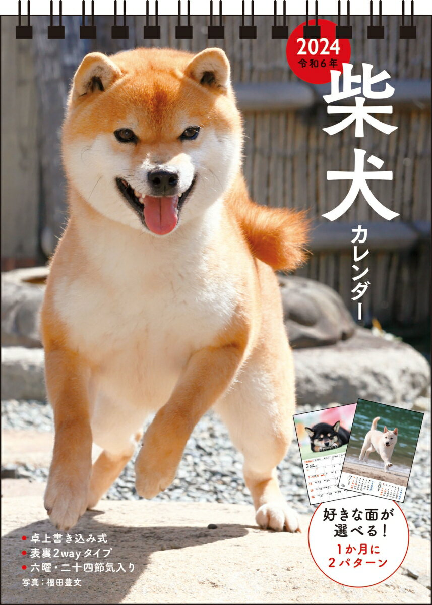 【S3】　2024　柴犬カレンダー　卓上書き込み式　［B6タテ] （永岡書店のカレンダー） [ 福田豊文 ]