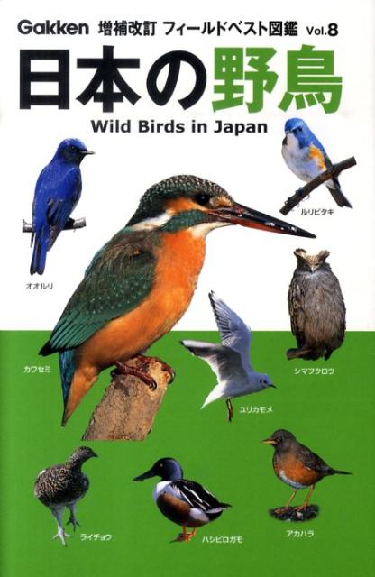 日本の野鳥増補改訂