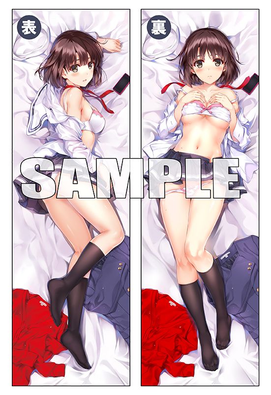 冴えない彼女の育てかた 抱き枕カバー付き恵ボックス