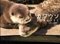 意外な魅力がきらきら光る、カワウソかわいさ再発見。カワウソと出会える動物園リストも収録。