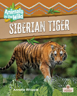 Siberian Tiger SIBERIAN TIGER （Animals in the Wild） 