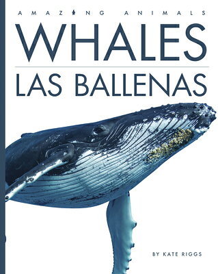 Whales / Las Ballenas SPA-WHALES / LAS BALLENAS （Amazing Animals） 