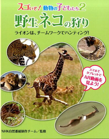 野生ネコの狩り ライオンは、チームワークでハンティング！ （スゴいぞ！動物の子どもたち） [ NHK自然科学番組制作チーム ]