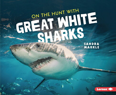 On the Hunt with Great White Sharks ON THE HUNT W/GRT WHITE SHARKS （Ultimate Predators） 