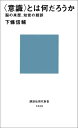 ＜意識＞とは何だろうか （講談社現代新書） 