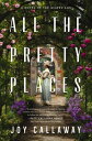 All the Pretty Places: A Novel of Gilded Age PLACES [ Joy Callaway ]