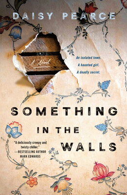 Something in the Walls SOMETHING IN THE WALLS [ Daisy Pearce ]