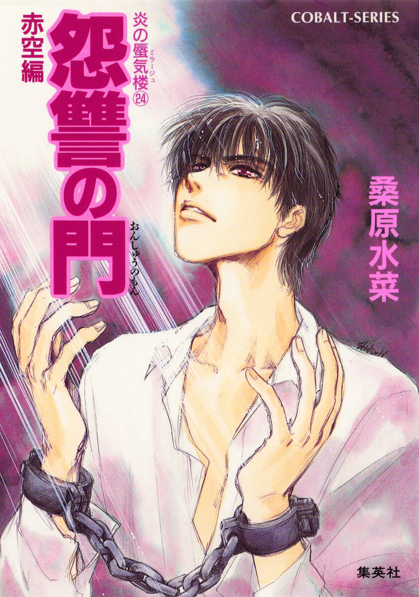 炎の蜃気楼（ミラージュ）（24）