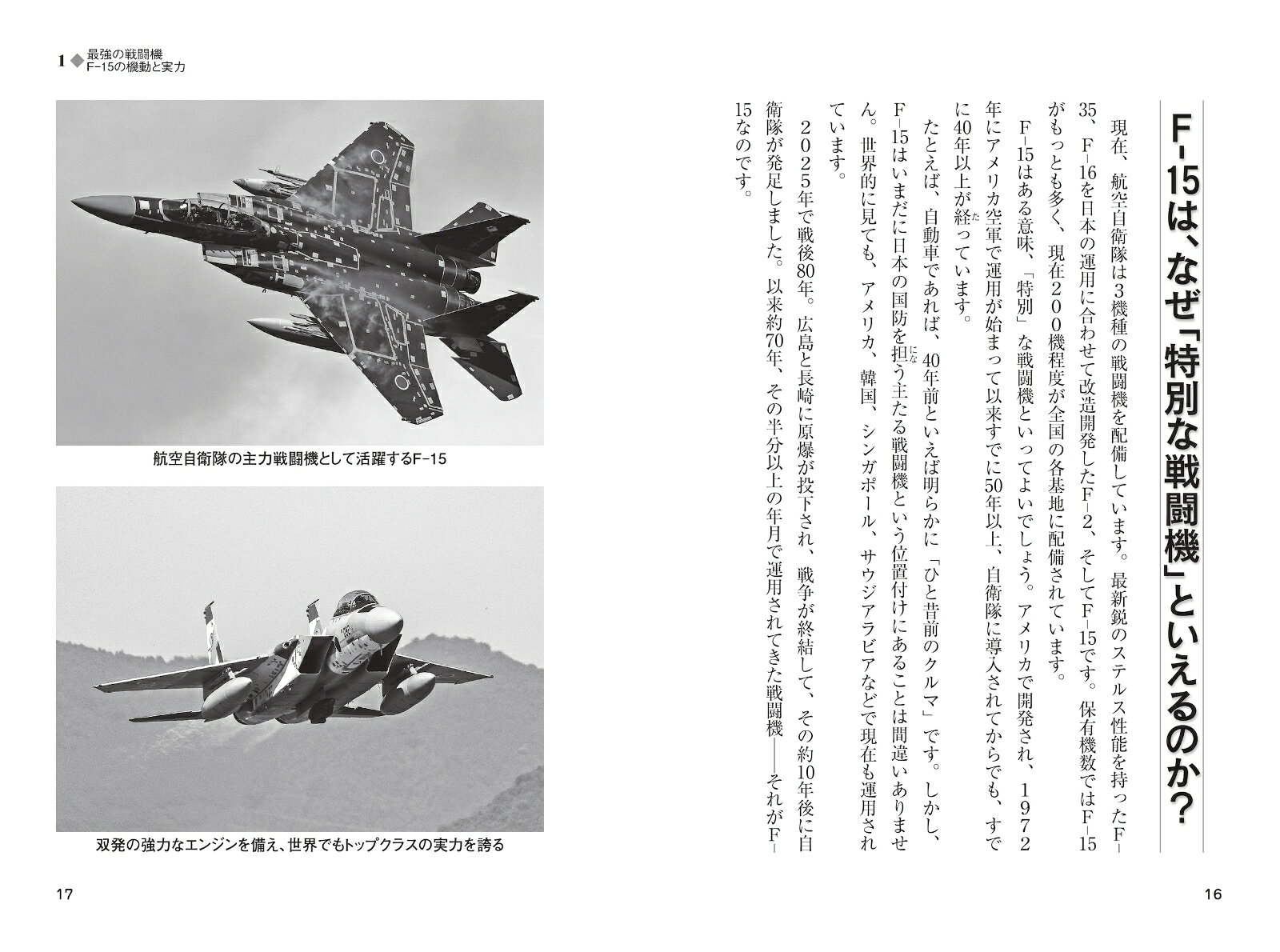 ����������ɥ饤�С�����롡F-15��Ʈ��������ʤΥꥢ�� [ ���� �� ]
