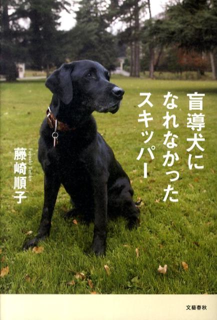 盲導犬になれなかったスキッパー