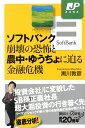 ソフトバンク崩壊の恐怖と農中 ゆうちょに迫る金融危機 （講談社＋α新書） 黒川 敦彦