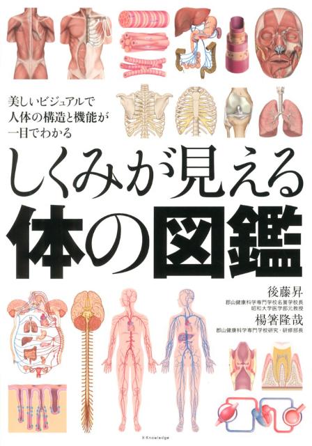 しくみが見える体の図鑑 [ 後藤昇 ]のサムネイル