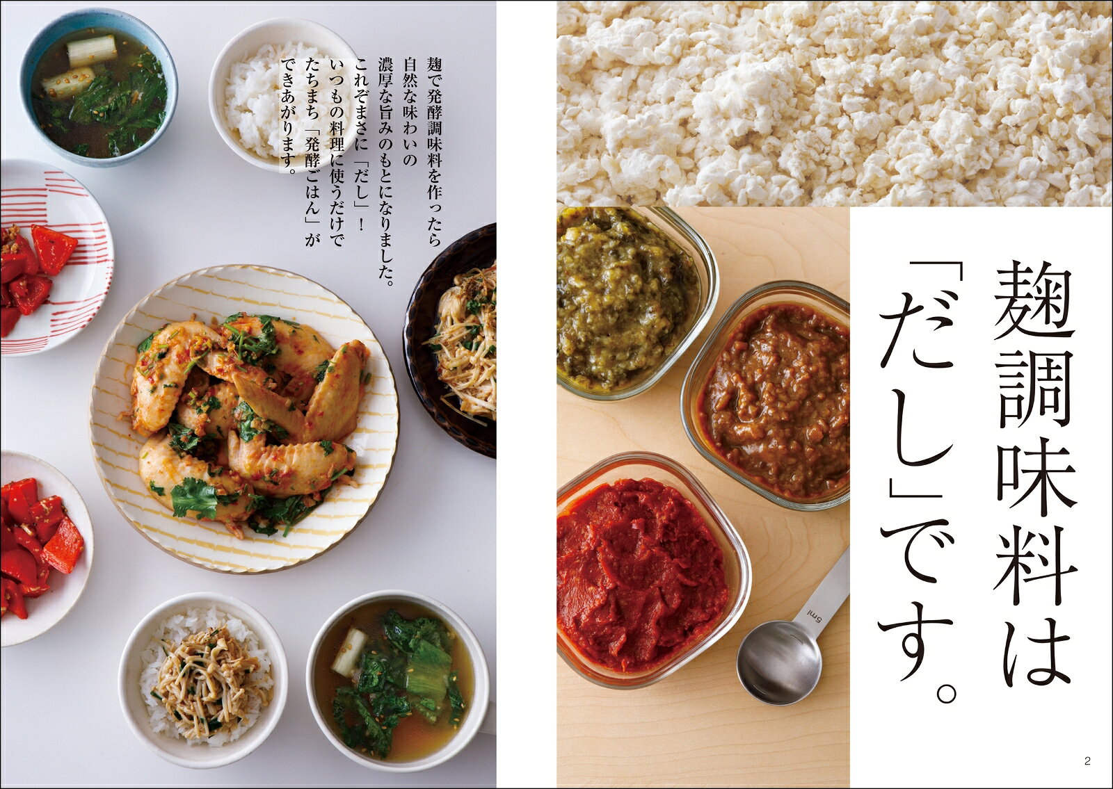 いつものおかずをもっと手軽に、おいしく！ はじめての発酵ごはん [ オザワ エイコ ]