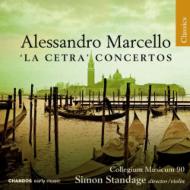 【輸入盤】ヴァイオリン協奏曲集『ラ・チェトラ』　スタンデイジ（ヴァイオリン）＆コレギウム・ムジクム90 [ マルチェッロ、アレッサンドロ（1684-1750） ]