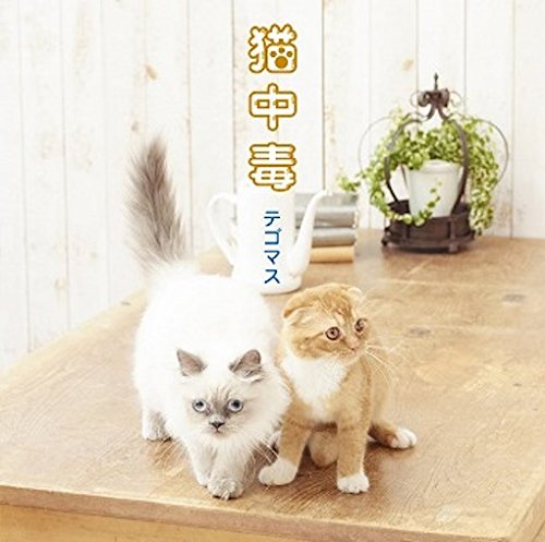 猫中毒 [ テゴマス ]