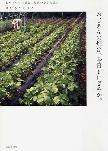 おじさんの畑は、今日もにぎやか。