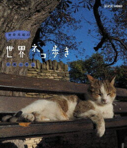 岩合光昭の世界ネコ歩き 田園の南仏【Blu-ray】