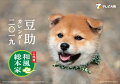 二代目 和風総本家 豆助(2019年1月始まりカレンダー)